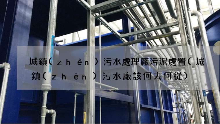 城鎮(zhèn)污水處理廠污泥處置(城鎮(zhèn)污水廠該何去何從)